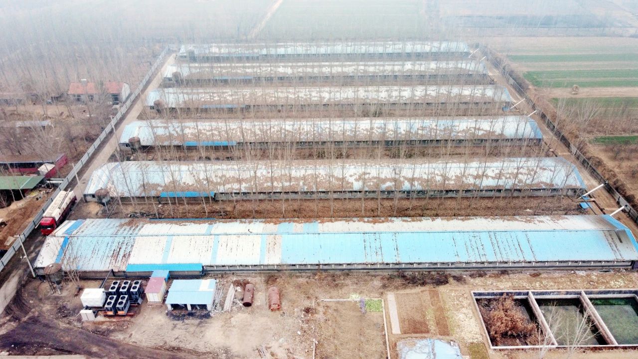 沃克空气能清洁冷暖案例9：滨州市惠民县三甲赵养鸡场供暖项目