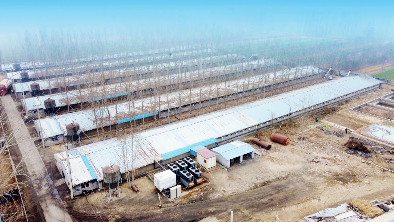 沃克空气能清洁冷暖案例9：滨州市惠民县三甲赵养鸡场供暖项目