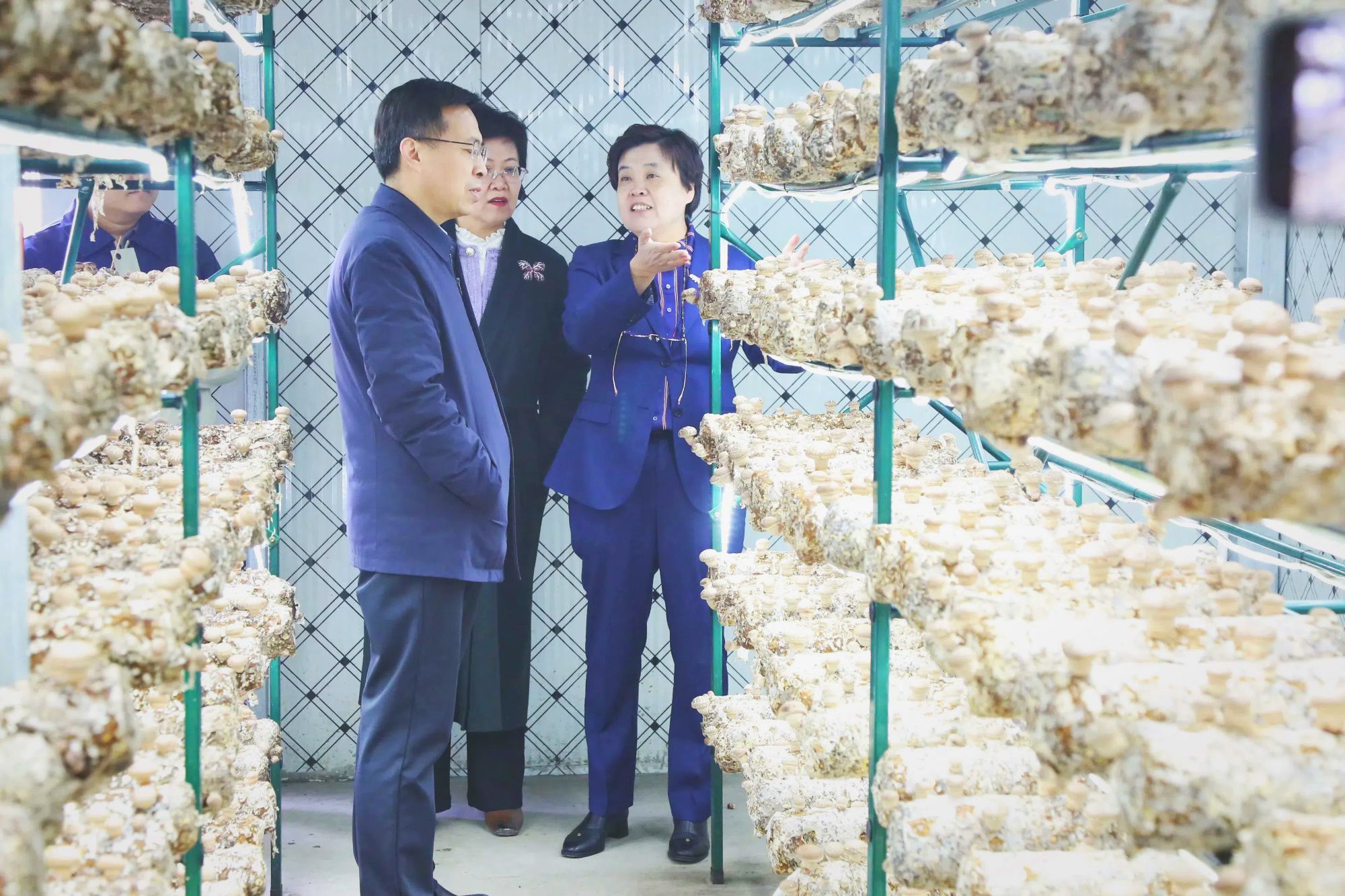 九三学社德州市委会和德州市振兴乡村集团领导一行到沃克集团调研指导